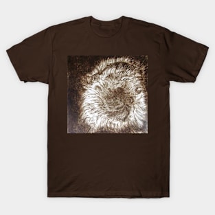 Star Birth Intaglio Print T-Shirt